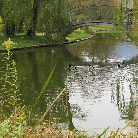 Marienhof 酒店 赖歇瑙