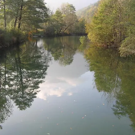 Marienhof 4* 赖歇瑙