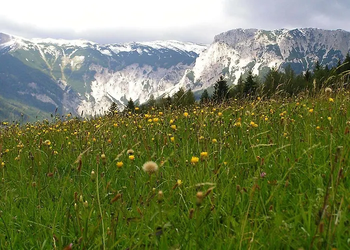 Marienhof Reichenau an der Rax